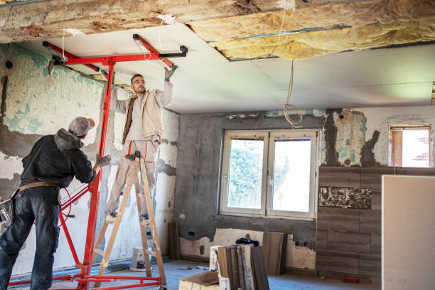 Types of Insulation We Offer in Bear Creek, AL