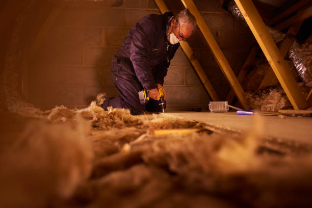 Best Insulation for Specific Applications in Bear Creek, AL