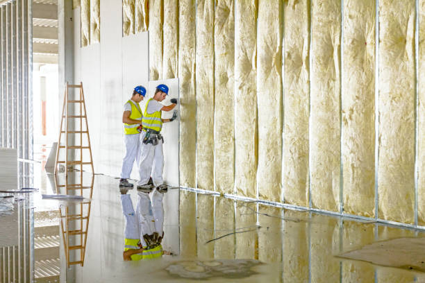 Best Geographic-Specific Insulation Services in Bear Creek, AL